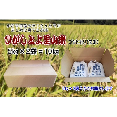 【令和7年産】ひがしとよ里山米 玄米10kg(5kg×2袋)