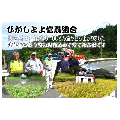 【令和7年産】ひがしとよ里山米 玄米10kg(5kg×2袋)