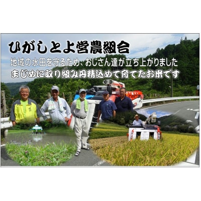 【令和7年産】里山の粒 玄米 10kg(5kg×2袋) ひがしとよ里山米