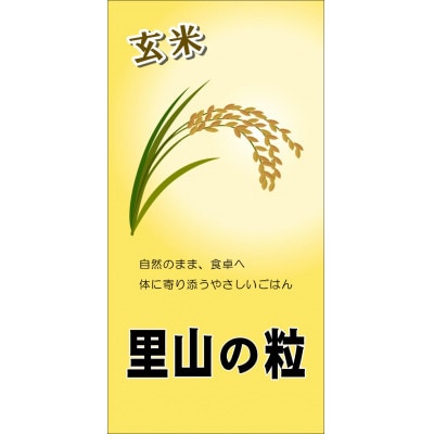 【令和7年産】里山の粒 玄米 10kg(5kg×2袋) ひがしとよ里山米