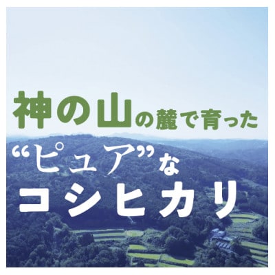 令和7年度産コシヒカリ精米10kg(5kg×2袋)