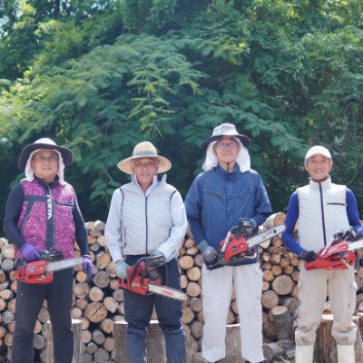 薪ストーブ用コナラ・樫の薪セット　約24～29kg×10箱【複数個口で配送】
