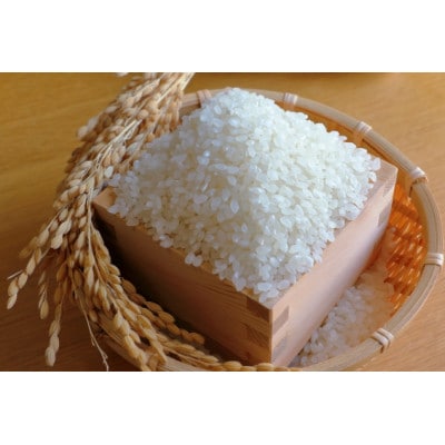 山添村産 一服米 コシヒカリ 3kg 精米