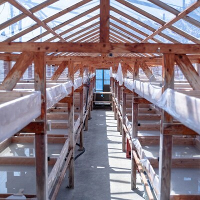 いごてつの天日塩　SUN-S [1132]