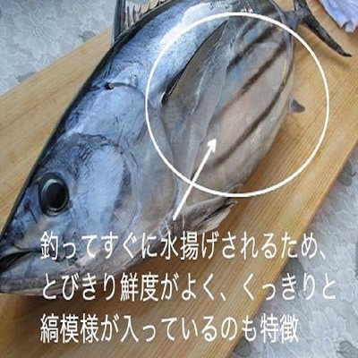 土佐沖 一本釣り 「日もどり」 カツオ 藁焼き たたき　約1kg(4～6節)[0993]