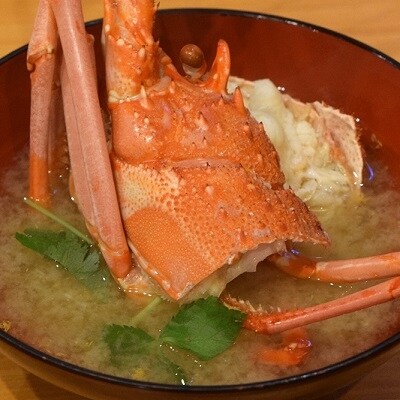 冷凍 黒潮町天然伊勢海老 1 3kg 2 6尾 10 お礼品詳細 ふるさと納税なら さとふる