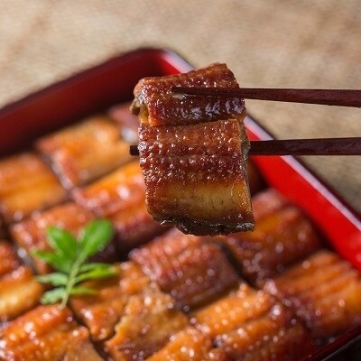 四万十うなぎ缶詰(2種×2個)とグルメ缶詰の詰合せ/16缶セット [1298]