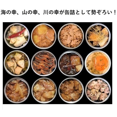 高知 のうまいを詰め込んだ グルメ 缶詰 12缶 セット [1300]
