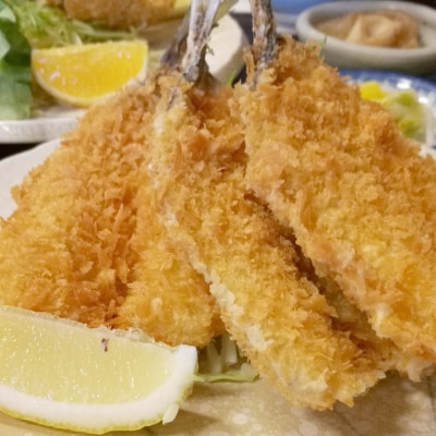 サクサク!土佐のあじフライ(土佐沖 真あじ 使用 )[0991]