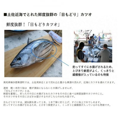土佐沖 一本釣り 「日もどり」 カツオ 藁焼きたたき セット　約2kg(6～12節)[1410]