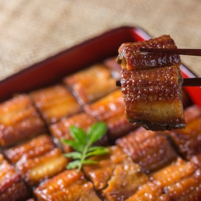 四万十うなぎ 缶詰 蒲焼 2缶セット(山椒付き)[1421]