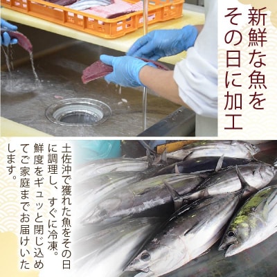 黒潮町のお弁当応援団!(土佐沖 獲れ 旬の魚 使用 ) [0986-2]