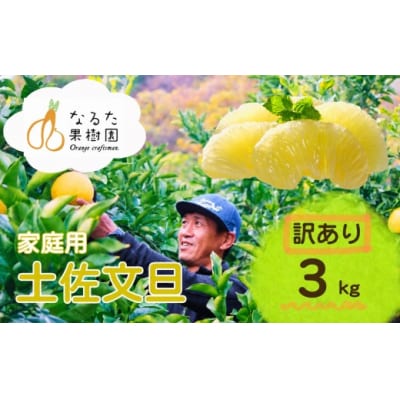 成田果樹園の土佐文旦 3kg (M-5L・訳あり) [1919]