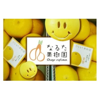 成田果樹園の土佐文旦 3kg (M-5L・訳あり) [1919]