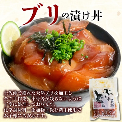 【土佐沖 丼シリーズ】お手軽!漬け丼 セット (かつお・まぐろ・天然ぶり) [1401-2]