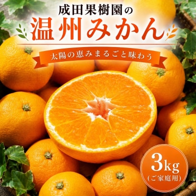 成田果樹園の温州みかん3kg (ご家庭用) [1816]