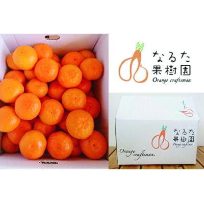 成田果樹園の温州みかん3kg (ご家庭用) [1816]