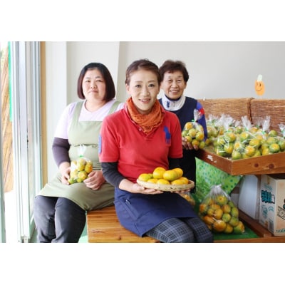 成田果樹園の温州みかん3kg (ご家庭用) [1816]