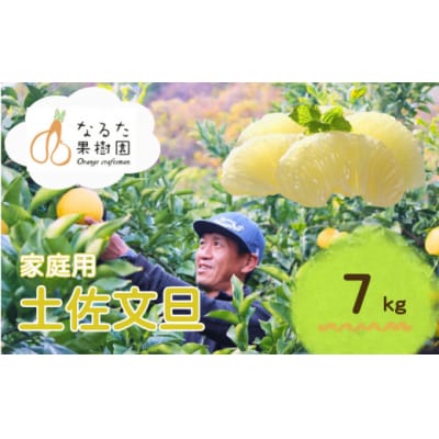 成田果樹園の土佐文旦 7kg (大玉 3L-5L・ご家庭用) [1686-2]