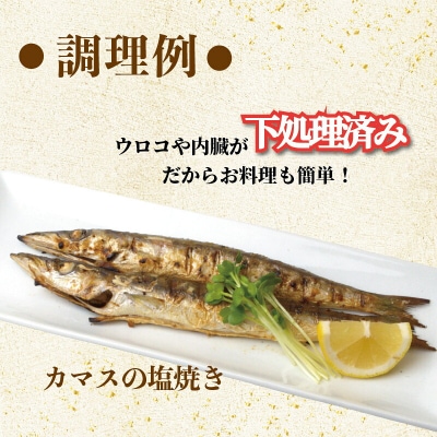 冷凍魚セット 600g (2-3種) 土佐佐賀産直出荷組合 [1712]