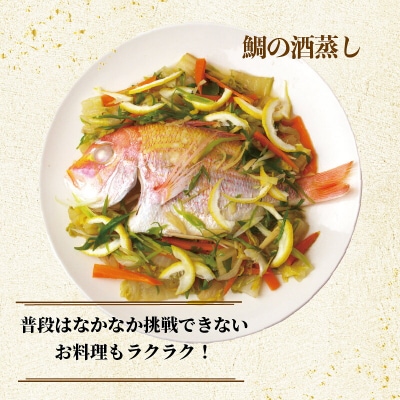 冷凍魚セット 600g (2-3種) 土佐佐賀産直出荷組合 [1712]