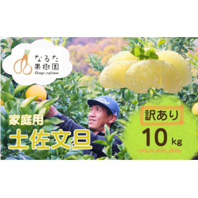 成田果樹園の土佐文旦 10kg (M-5L・訳あり) [1688-2]