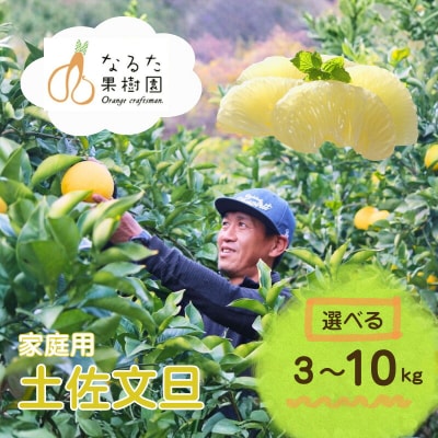 成田果樹園の土佐文旦 3kg(L-3L・ご家庭用) [1684-2]