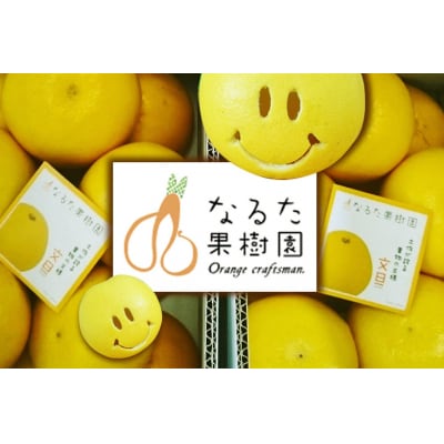 成田果樹園の土佐文旦 3kg(L-3L・ご家庭用) [1684-2]
