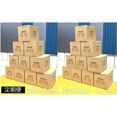 黒潮 薪 ( 分割 便 20箱×2カ月【約680kg】 コース ) [(H)1603-2]
