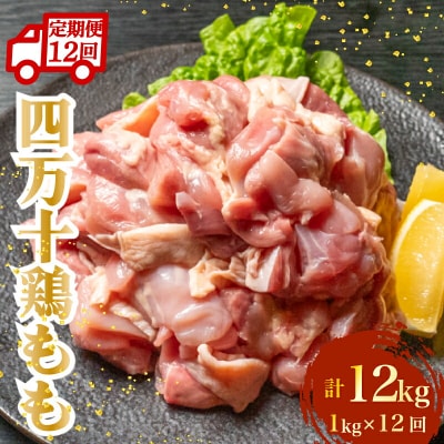 四万十鶏もも肉(カット済)計12kg 1kg×12回 4Zコース [(H)1796]