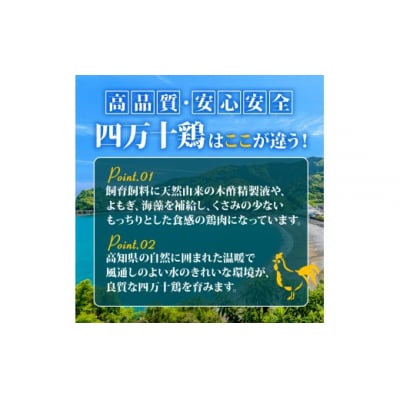 四万十鶏もも肉(カット済)計12kg 1kg×12回 4Zコース [(H)1796]