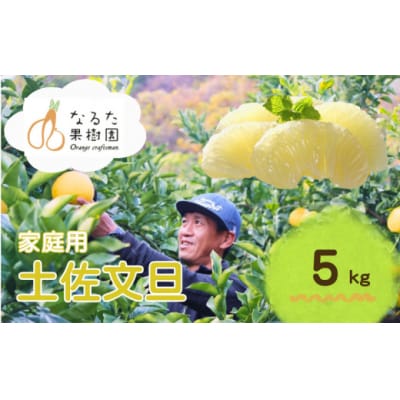 成田果樹園の土佐文旦 5kg (大玉 3L-5L・ご家庭用) [1685-2]