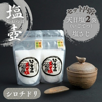 シロチドリ の 塩壷 と 塩さじ セット (いごてつの 天日塩 2袋付き) [1495]