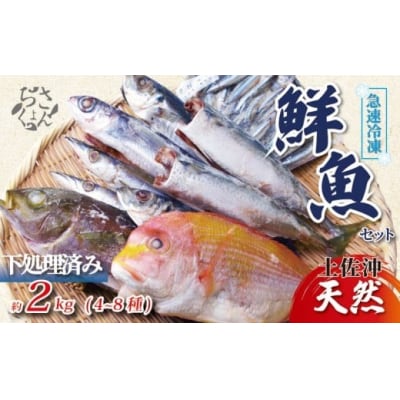冷凍魚セット 2kg (4-8種) 土佐佐賀産直出荷組合 [1714-2]