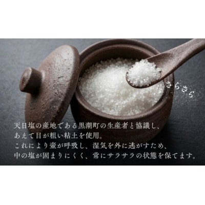 クジラの塩壷と塩さじと豆皿のセット(土佐の海の天日塩「あまみ」 1袋付き) [1655]