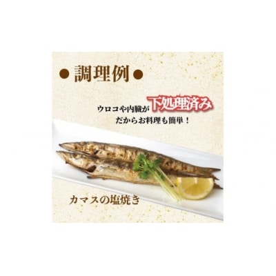 冷凍魚セット 1kg (2-4種) 土佐佐賀産直出荷組合 [1713-2]