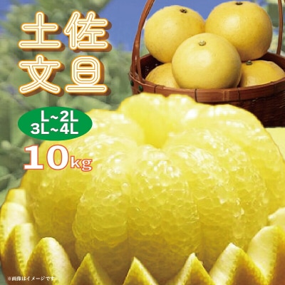 楽木工房の土佐文旦(ご家庭用)10kg 《3L-4Lサイズ》 [1406-3]