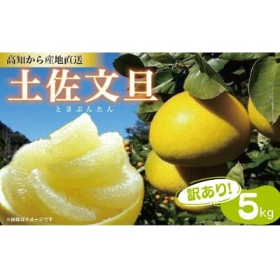 訳あり 土佐文旦 5kg サイズ混合(ご家庭用) 植田農園 [1914]