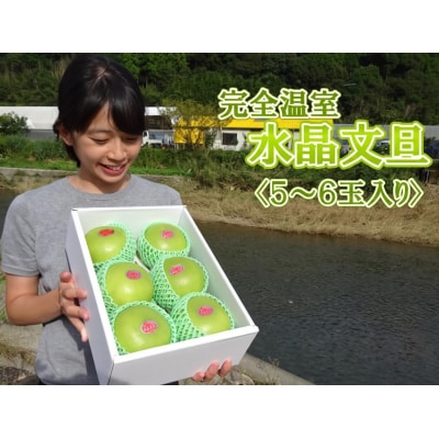 届いてすぐに食べられる 完熟 温室 水晶 文旦 5-6玉 [1404-3]