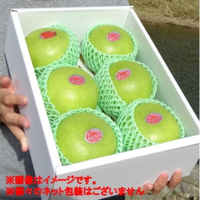 届いてすぐに食べられる 完熟 温室 水晶 文旦 5-6玉 [1404-3]