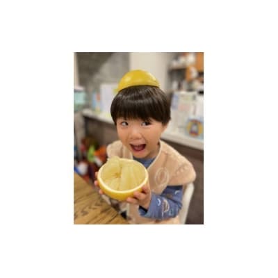 楽木工房の 土佐文旦 (ご家庭用) 10kg 《L・2Lサイズ》 [1513-2]
