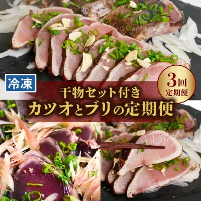 土佐の海からの贈り物!初・戻りカツオ/天然ブリ/干物 定期便3回 [(H)1226-02]