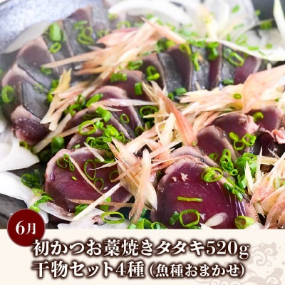 土佐の海からの贈り物!初・戻りカツオ/天然ブリ/干物 定期便3回 [(H)1226-02]