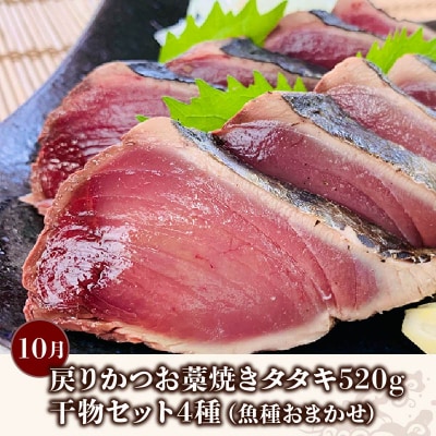 土佐の海からの贈り物!初・戻りカツオ/天然ブリ/干物 定期便3回 [(H)1226-02]