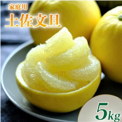 届いてすぐに食べられる土佐文旦　5kg(ご家庭用) [1462-2]