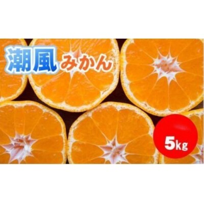 商標登録 潮風みかん 5kg 高知県 黒潮町産 [1289‐2]