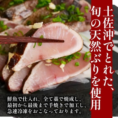 [1343-3]お魚 定期便 【3カ月連続お届け】 [(H)1343-3]