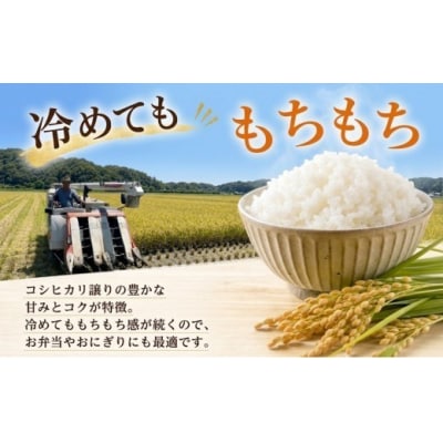 ひのひかり 玄米 10kg(2025年産)グルメな外国人農家 こだわり のお米 [1120-5]