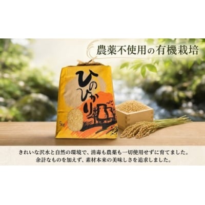 ひのひかり 玄米 10kg(2025年産)グルメな外国人農家 こだわり のお米 [1120-5]