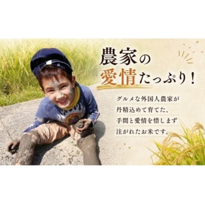 グルメな外国人農家こだわりのお米こしひかり白米 10kg 《2025年産》 [0941-6]